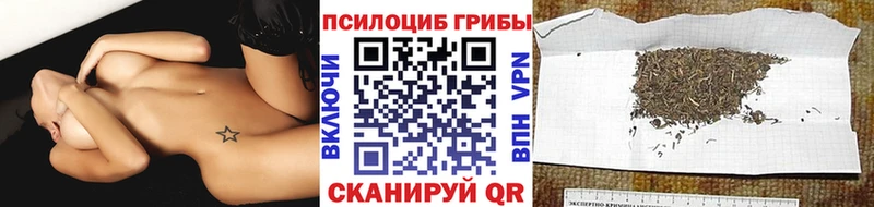 MEGA зеркало  Красный Сулин  Галлюциногенные грибы мухоморы 