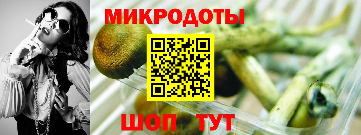 Псилоцибиновые грибы Psilocybe Красный Сулин