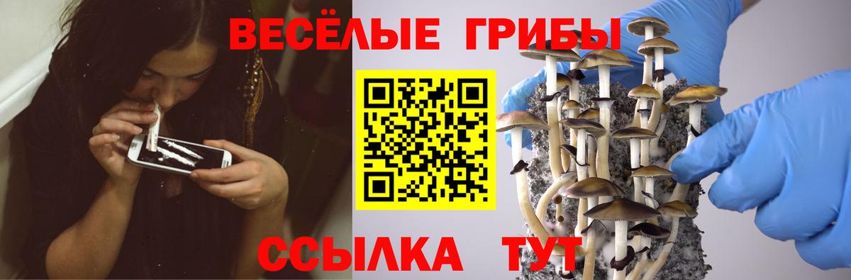 закладка  Псилоцибиновые грибы Magic Shrooms  Вход с VPN  Красный Сулин 